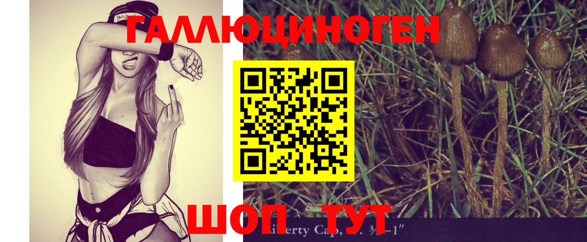 Псилоцибиновые грибы Psilocybine cubensis  Псилоцибиновые грибы Psilocybine cubensis  Вход с VPN  Владикавказ 