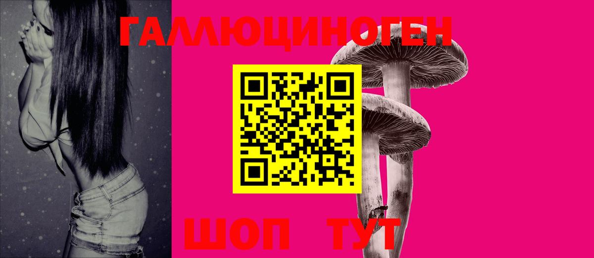 Галлюциногенные грибы мухоморы Владикавказ